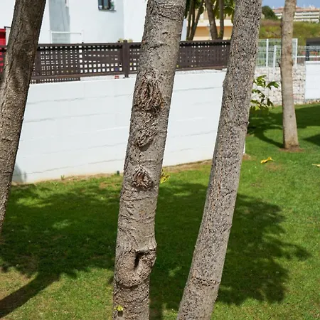Casa Topacio, 3 Bedrooms And 3 Bathrooms In Quiet Street